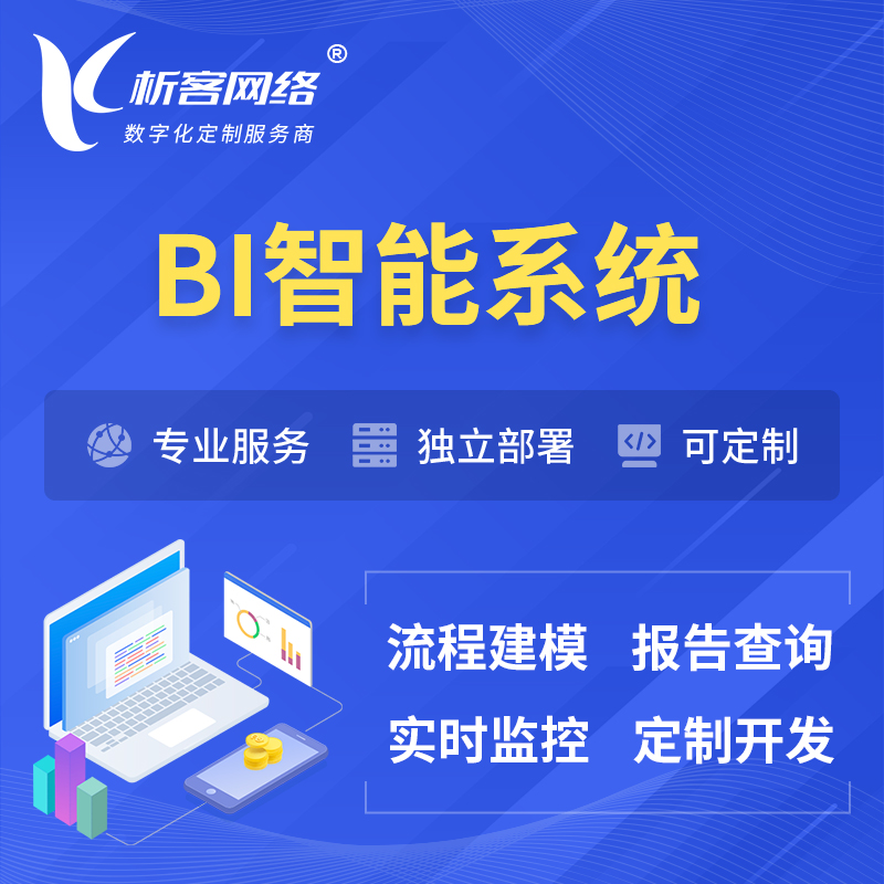 安庆BI智能系统 | BI数据可视化
