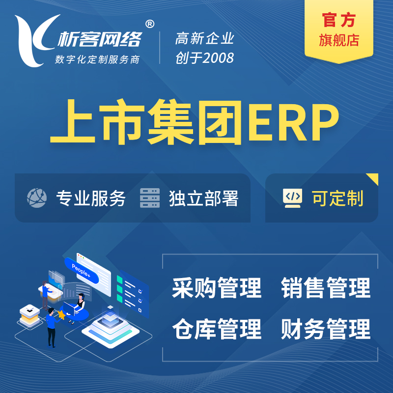 安庆上市集团ERP软件生产MES车间管理系统